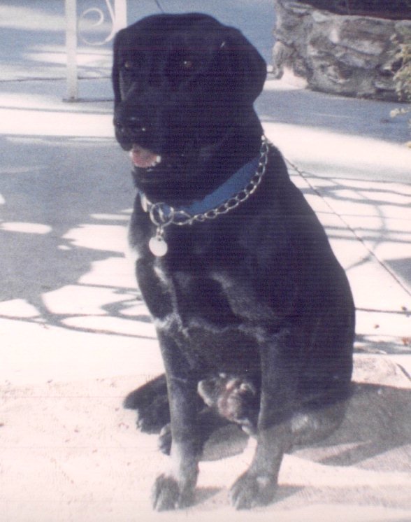 coolsitt.jpg (73810 bytes)